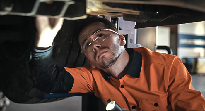 Customized Proactive Care 